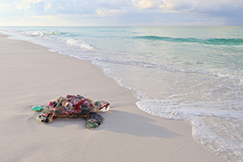 Into The Waves: Feral Plastic Sea Turtle